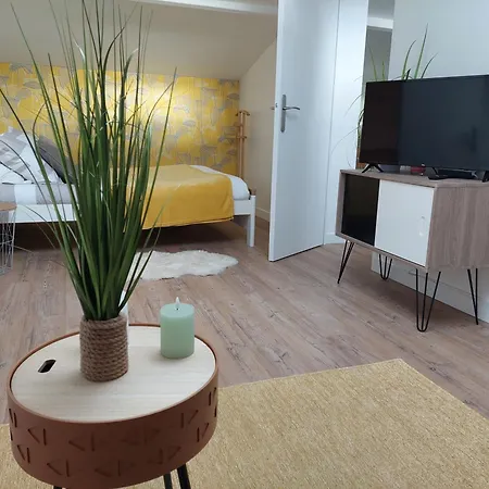 Studio 17 Konukevi Roissy-en-Brie